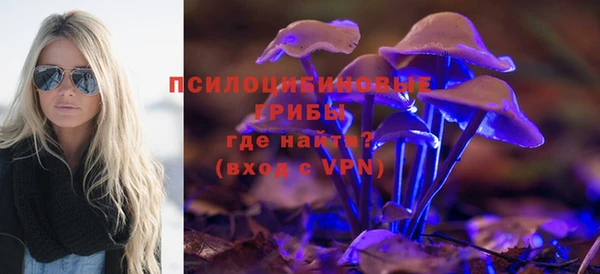 метадон Козловка