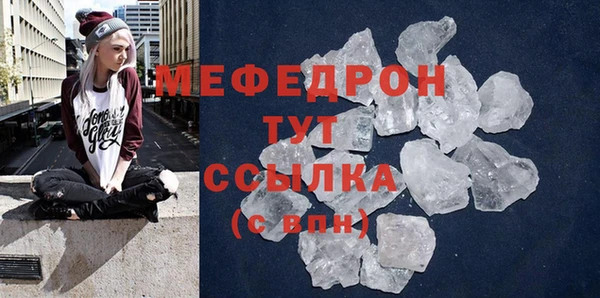 сатива Коряжма