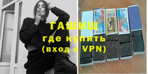 сатива Коряжма